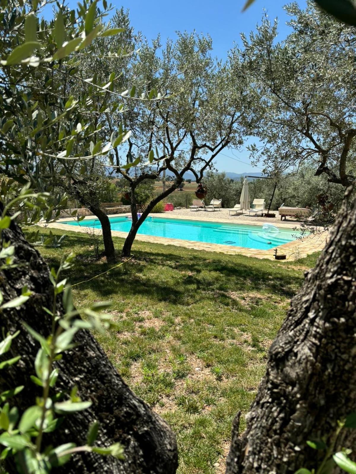 Agriturismo Uliveto Benedetti Apartment Spoleto Exterior photo